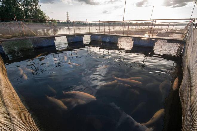 石景山养殖污水处理